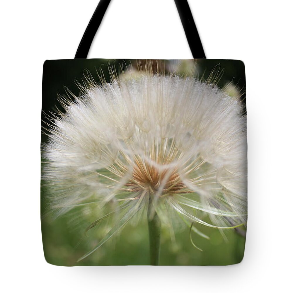 Dandelion Head Tote Bag featuring the photograph Dandelion head close up by Martin Smith
