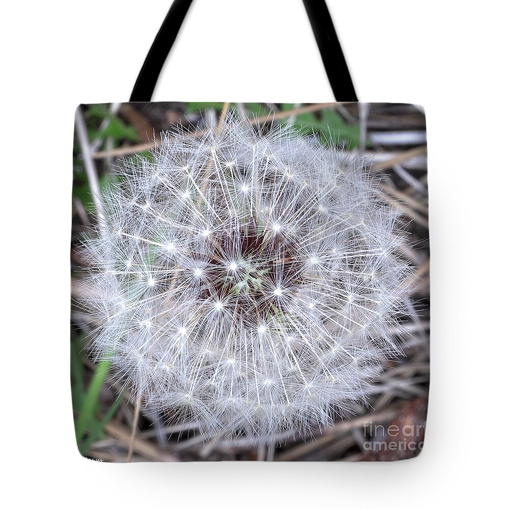 Dandelion Tote Bag featuring the photograph Dandelion Seedhead by PROMedias US