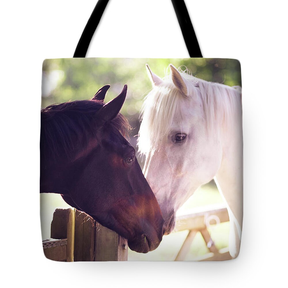 Horse Tote Bag featuring the photograph Dark Bay And Gray Horse Sniffing Each by Sasha Bell