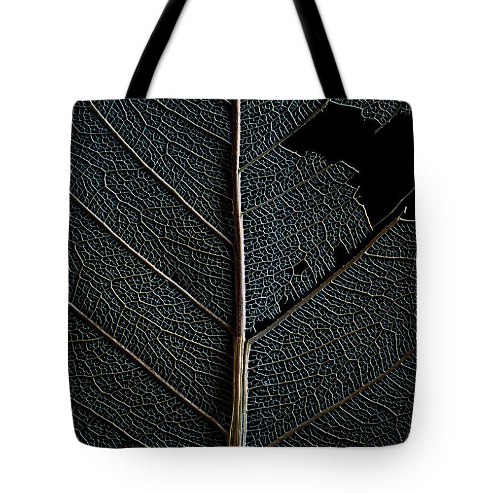 Leaf Tote Bag featuring the photograph Dark Leaf by Christopher Johnson