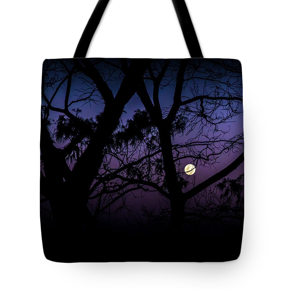 Gold Coast Tote Bag featuring the photograph Dark Night by Az Jackson