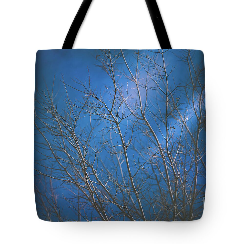 Dark Tote Bag featuring the photograph Dark Winter by Dheeraj Mutha