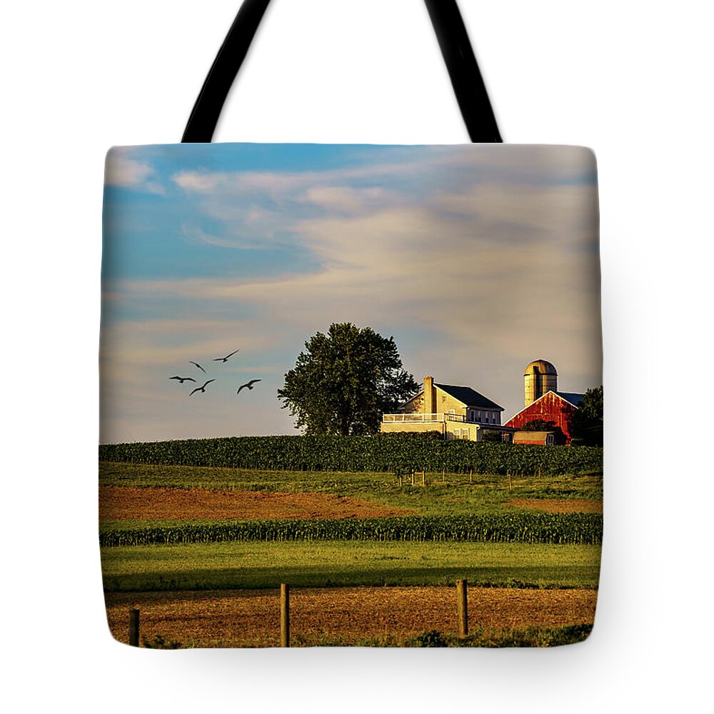​fields Tote Bag featuring the photograph Days End on the farm by Roni Chastain