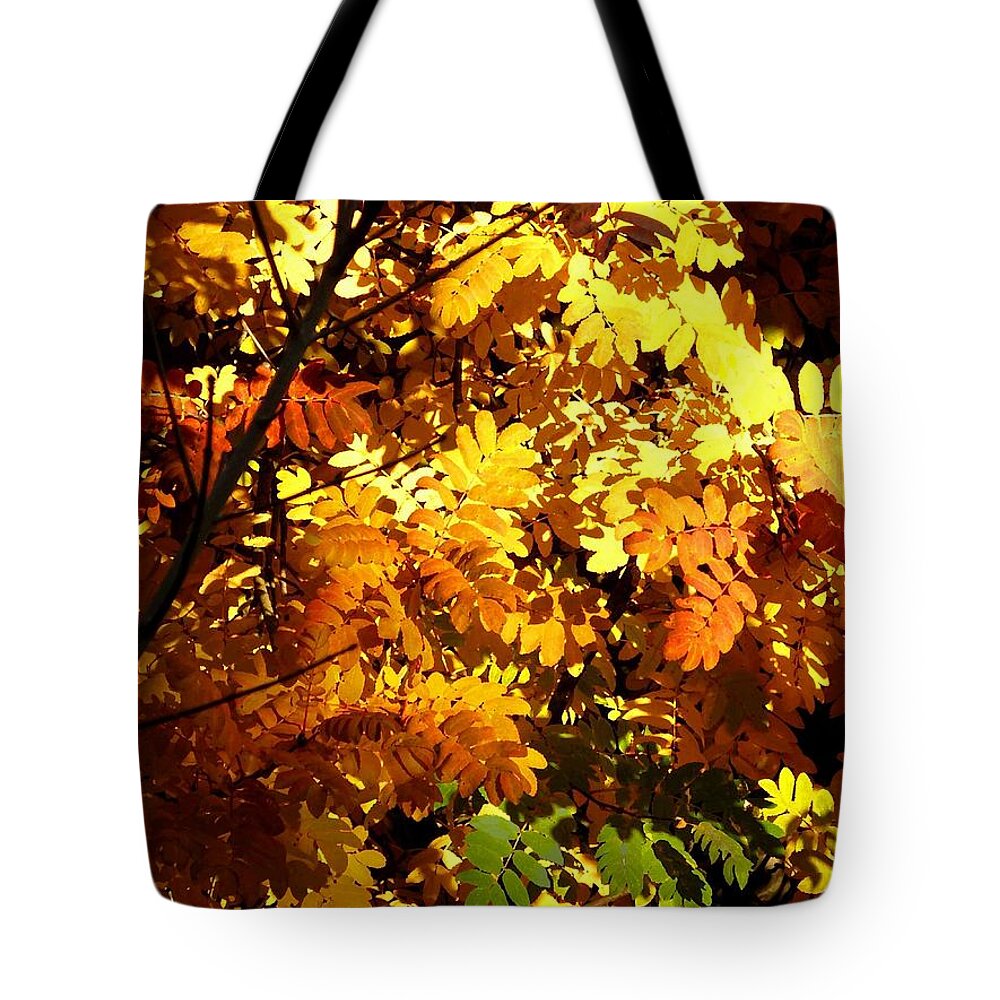 Mountain Ash Tote Bag featuring the digital art Days Of Autumn 12 by Will Borden