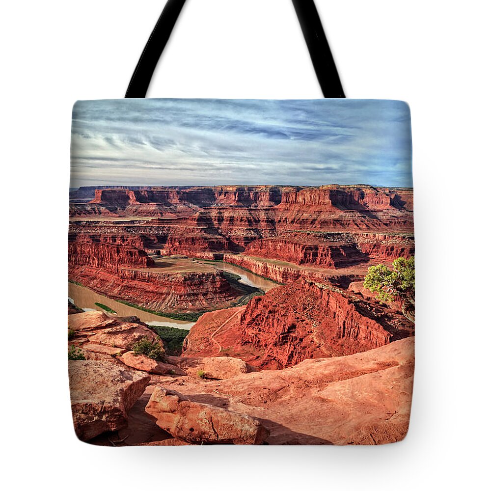 Dead Horse Point Tree Tote Bag featuring the photograph Dead Horse Point Tree by Wes and Dotty Weber