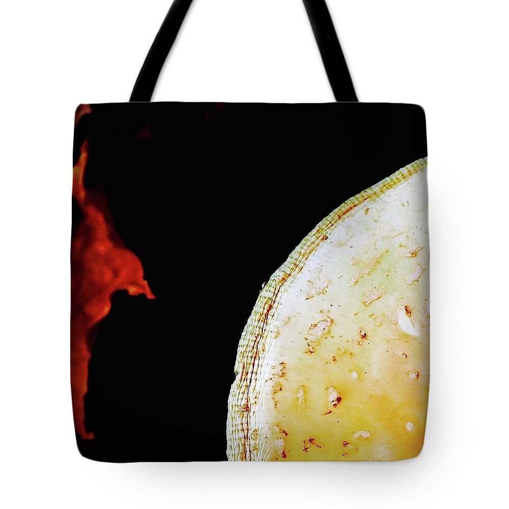 Abstract Tote Bag featuring the photograph Deadly Dapperling And Maple Leaf by Alida M Haslett