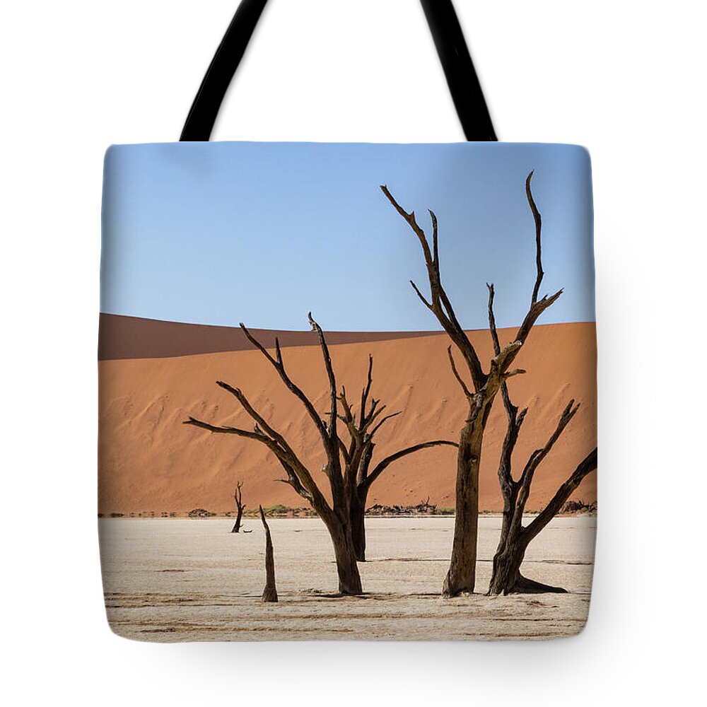 Landscape Tote Bag featuring the photograph Deadvlei desert by Mache Del Campo