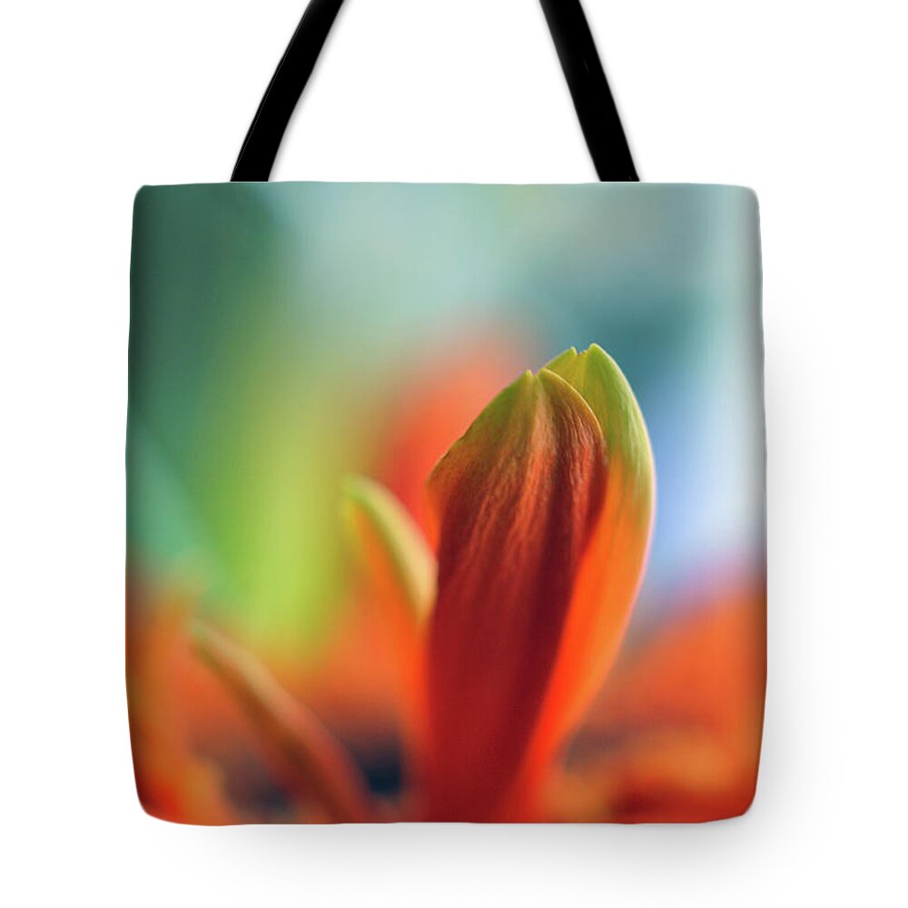 Orange Tote Bag featuring the photograph Decision by Michelle Wermuth