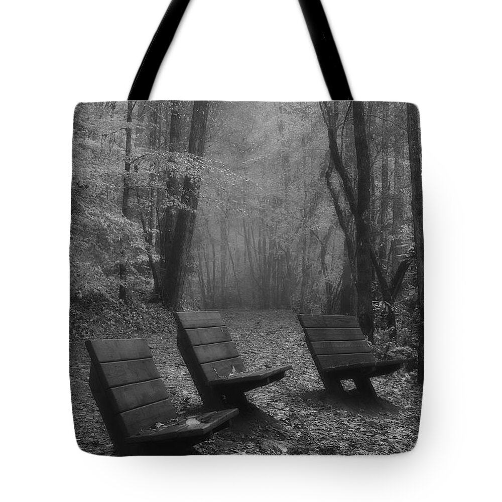 Black & White Tote Bag featuring the photograph Deep Creek Trail by Nunweiler Photography