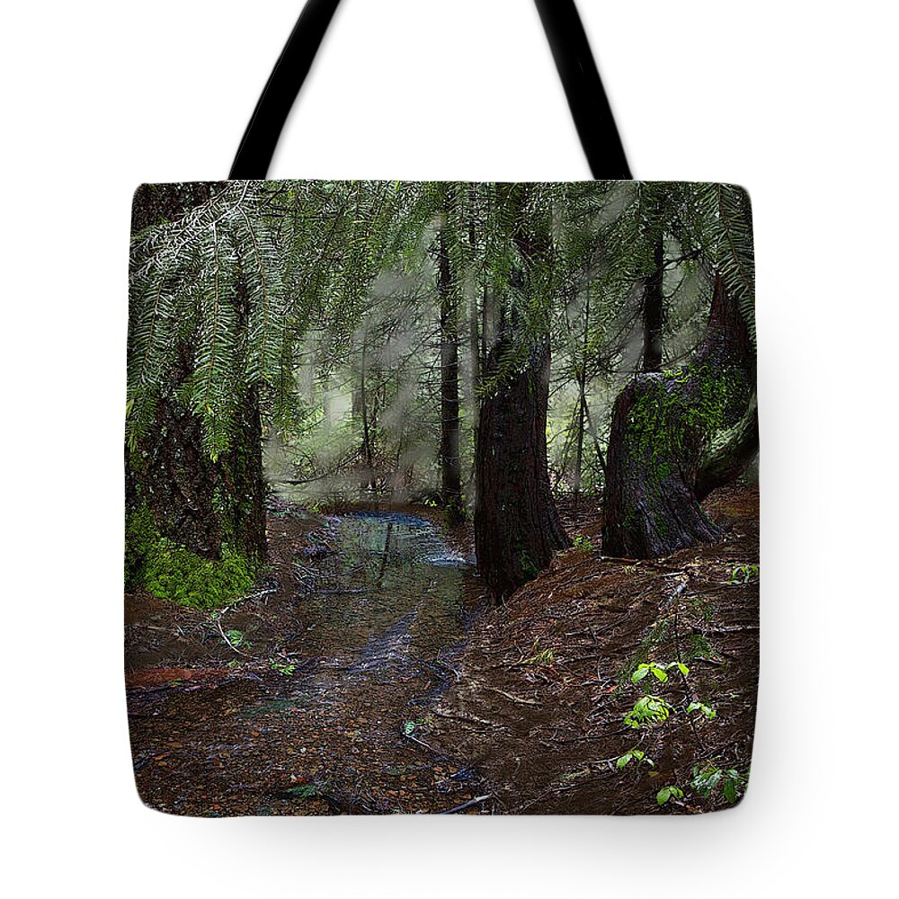 Headwaters Tote Bag featuring the digital art Deer Creek Headwaters at Skillman Horse Campground by Lisa Redfern