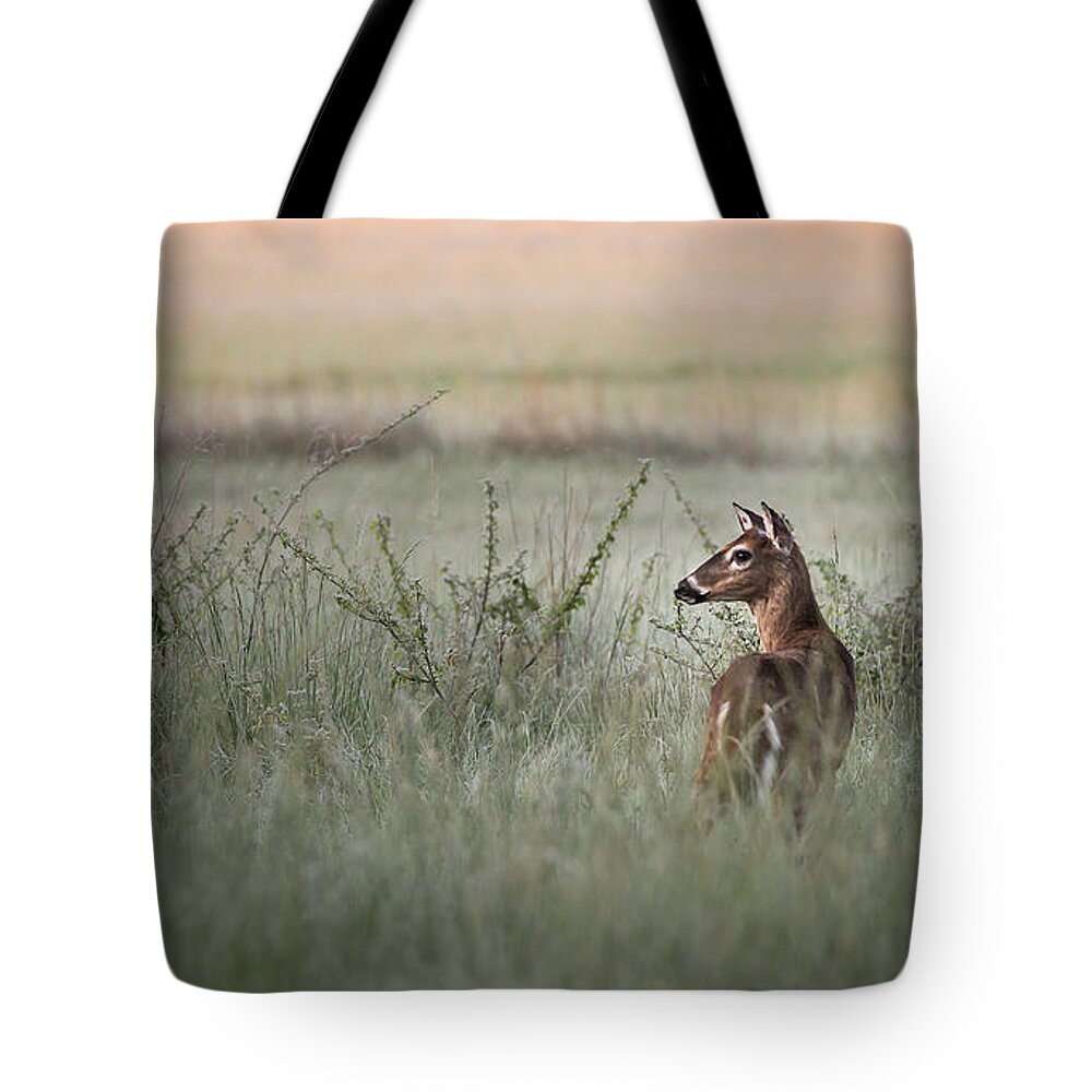 Grass Tote Bag featuring the photograph Deer In Grass by Michele Sons