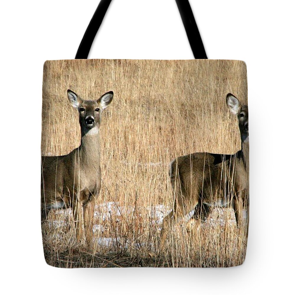 Grass Tote Bag featuring the photograph Deers by J.castro