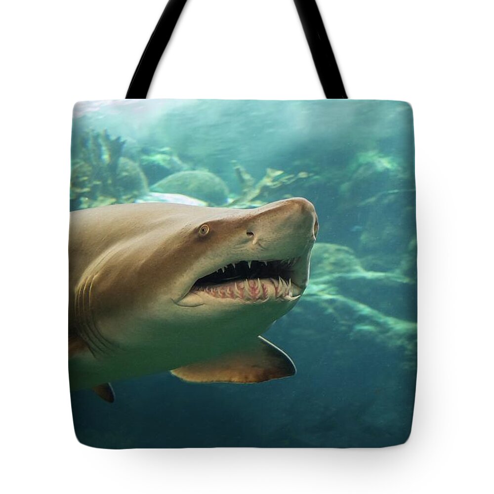 Shark Tote Bag featuring the photograph Denizen Of The Deep by Larry Linton