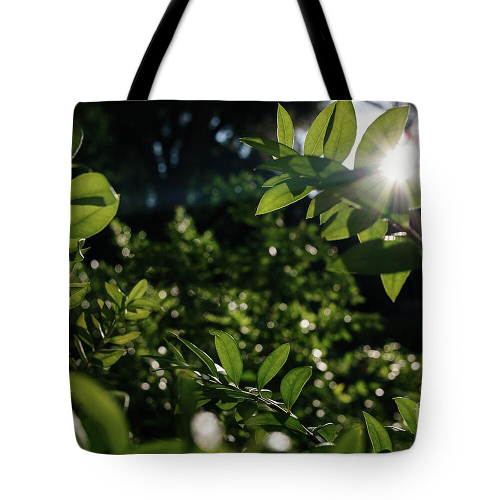 Abstract Tote Bag featuring the photograph Dense foliage of green leaves illuminated by the sun, background by Joaquin Corbalan