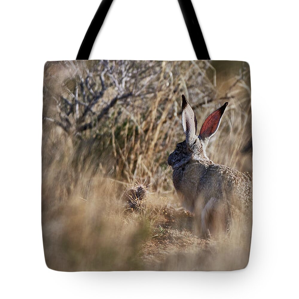 Desert Rabbit Tote Bag featuring the photograph Desert Hare by Robert WK Clark