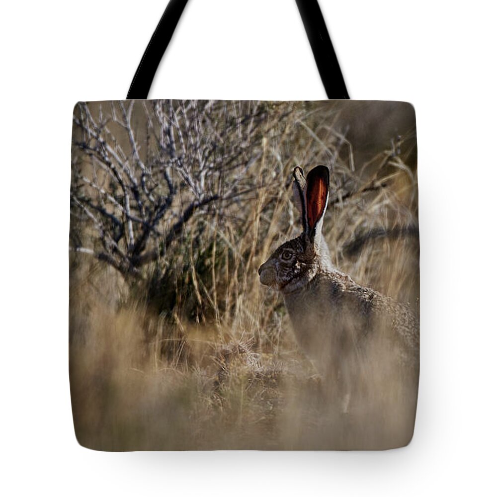 Desert Rabbit Tote Bag featuring the photograph Desert Rabbit by Robert WK Clark
