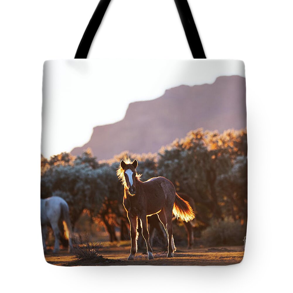 Yearling Tote Bag featuring the photograph Desert View by Shannon Hastings