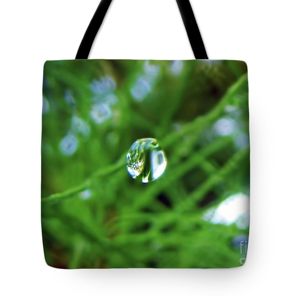 Pine Needle Tote Bag featuring the photograph Dewdrop Reflection by D Hackett
