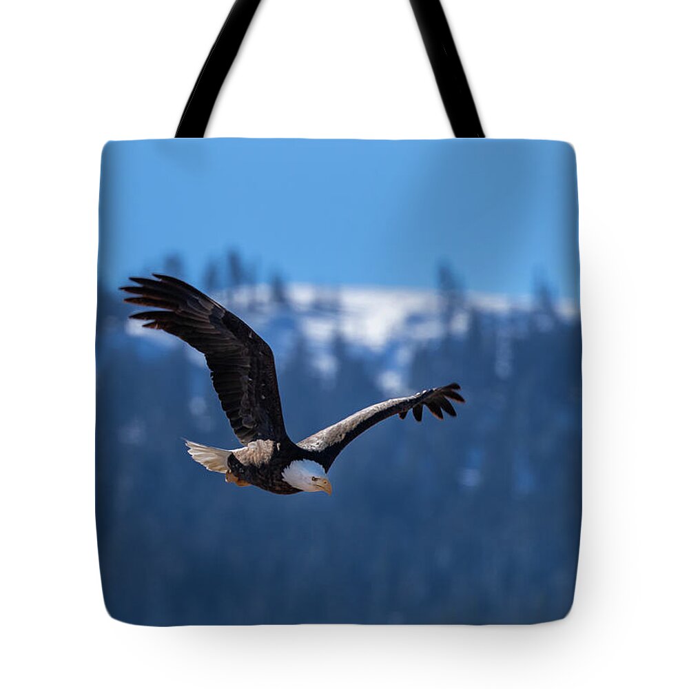 Eagle Tote Bag featuring the photograph Diamond Mountian and Eagle by Randy Robbins