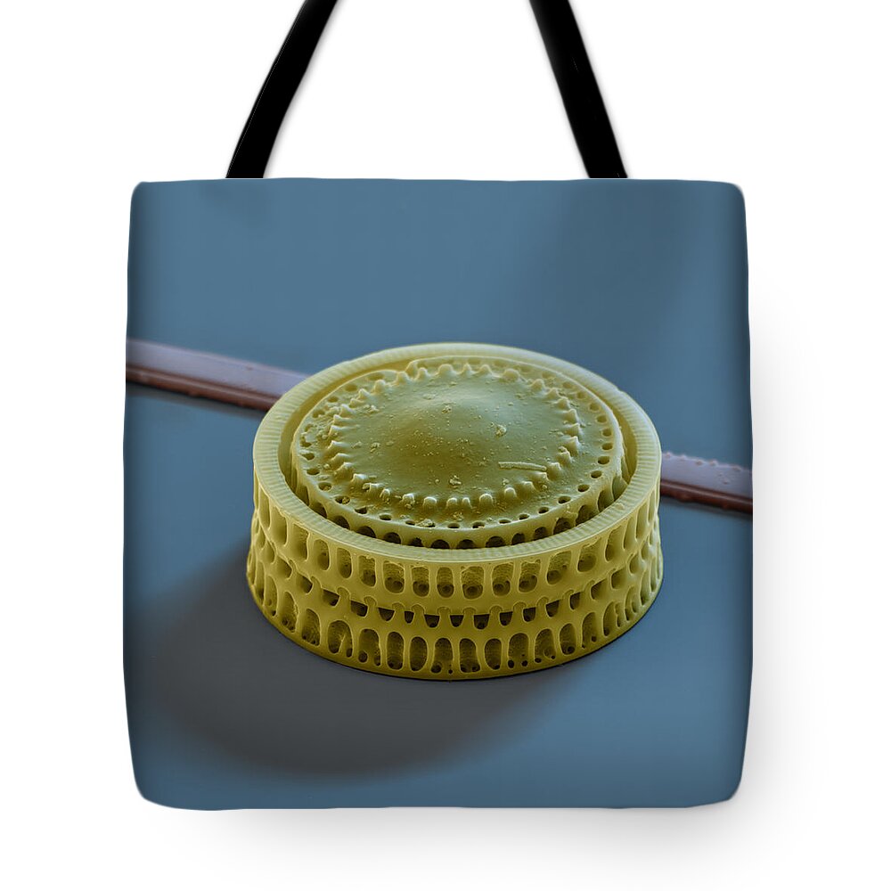 Algae Tote Bag featuring the photograph Diatom Paralia by Meckes/ottawa