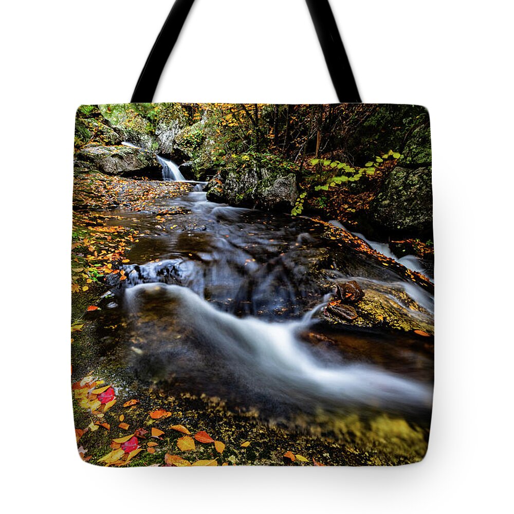 Autumn Foliage New England Tote Bag featuring the photograph Different Paths by Jeff Folger