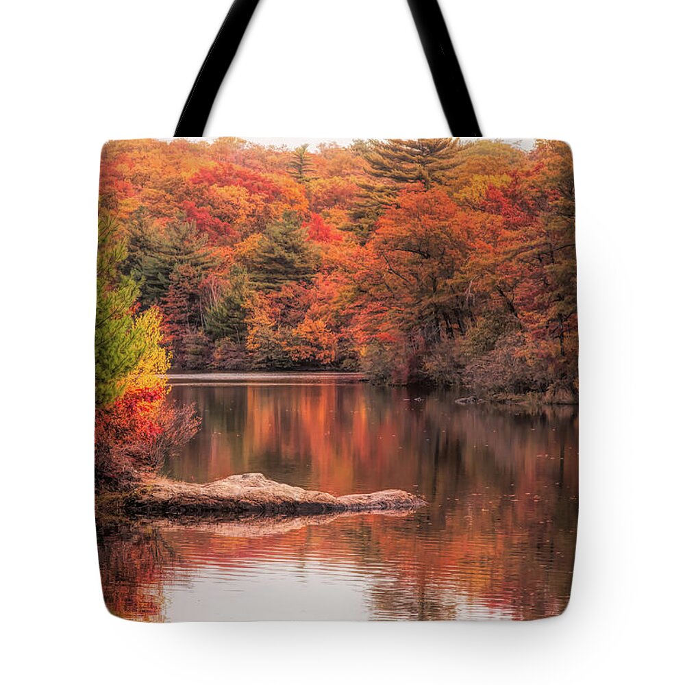 Birch Pond Lynn Massachusetts Tote Bag featuring the photograph Digial paint of Birch Pond by Jeff Folger