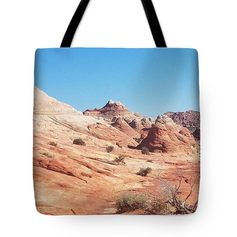 The Wave Tote Bag featuring the photograph Dinosaur Tracks by Carol Komassa