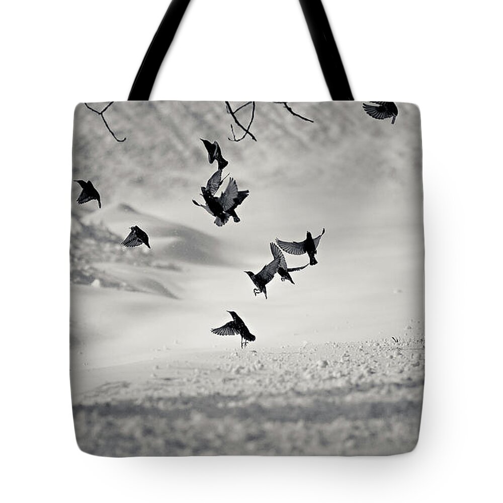 Shadow Tote Bag featuring the photograph Discord by Photography By Spl