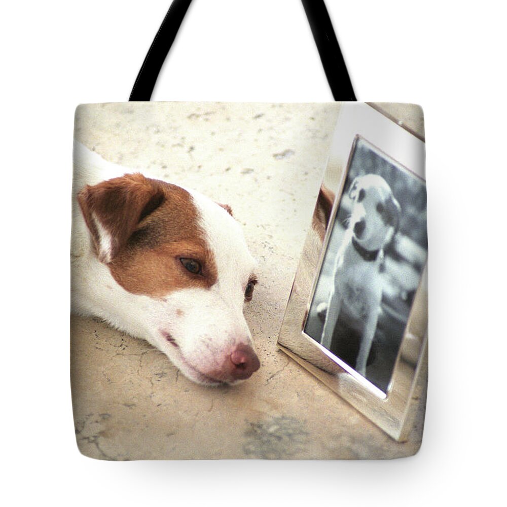 Estock Tote Bag featuring the digital art Dog Missing Girlfriend by Joanne Montenegro