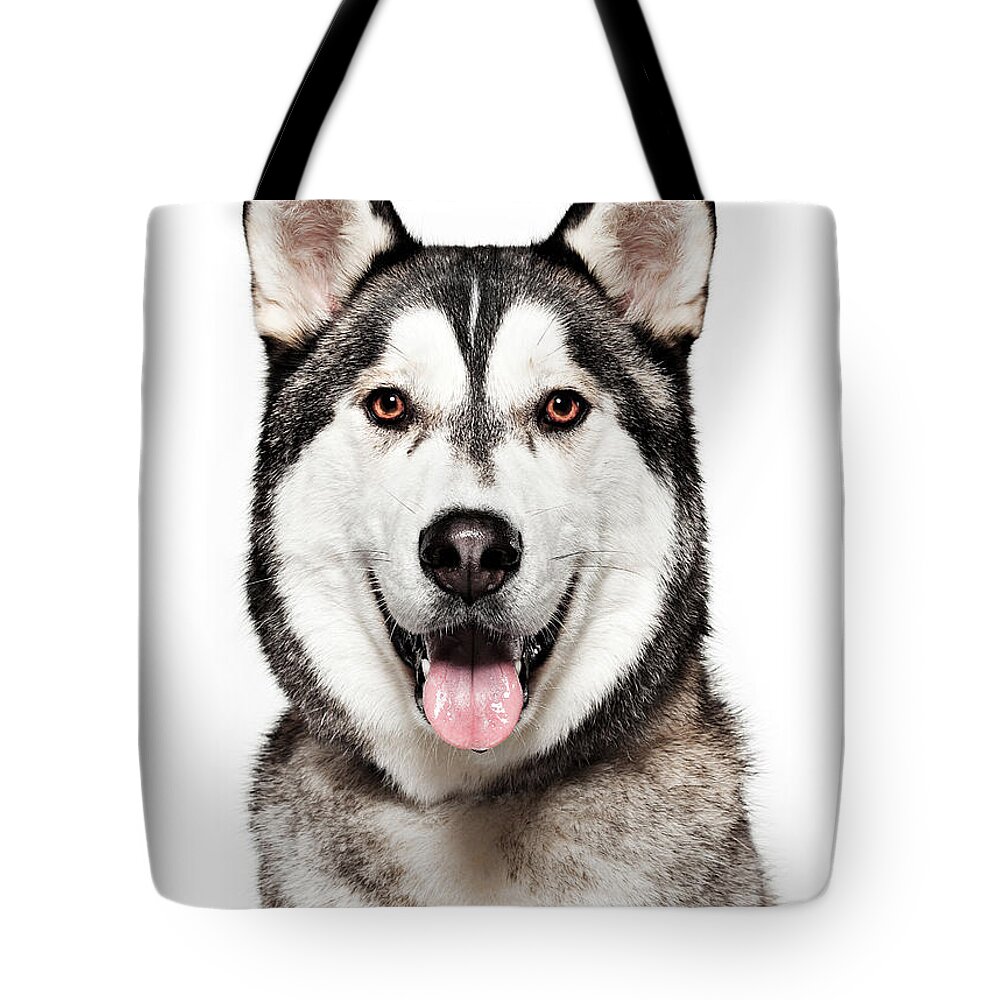 Dog Portrait - Husky Tote Bag by Daneger 