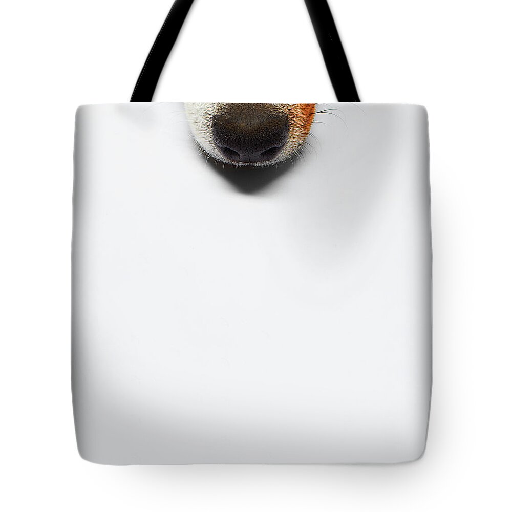 Pets Tote Bag featuring the photograph Dog by Sohl