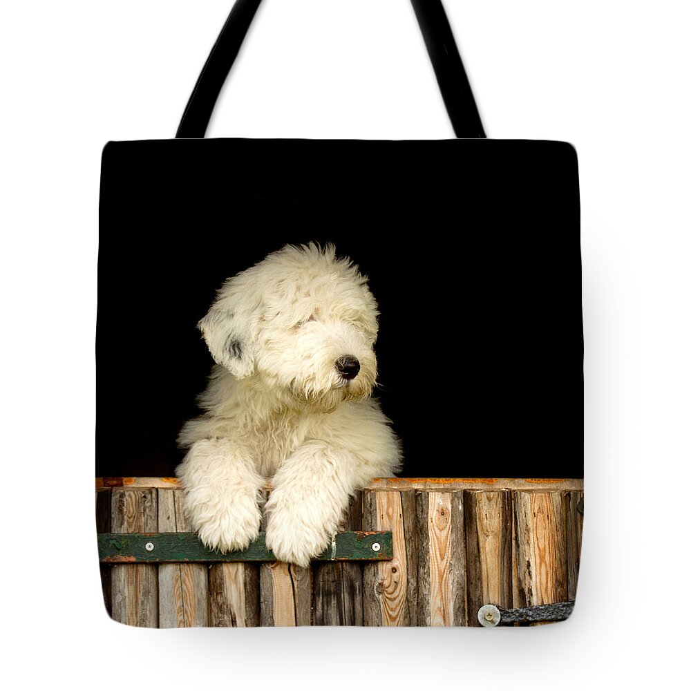 Pets Tote Bag featuring the photograph Dog Wags Its Tail With Its Heart by Dewollewei