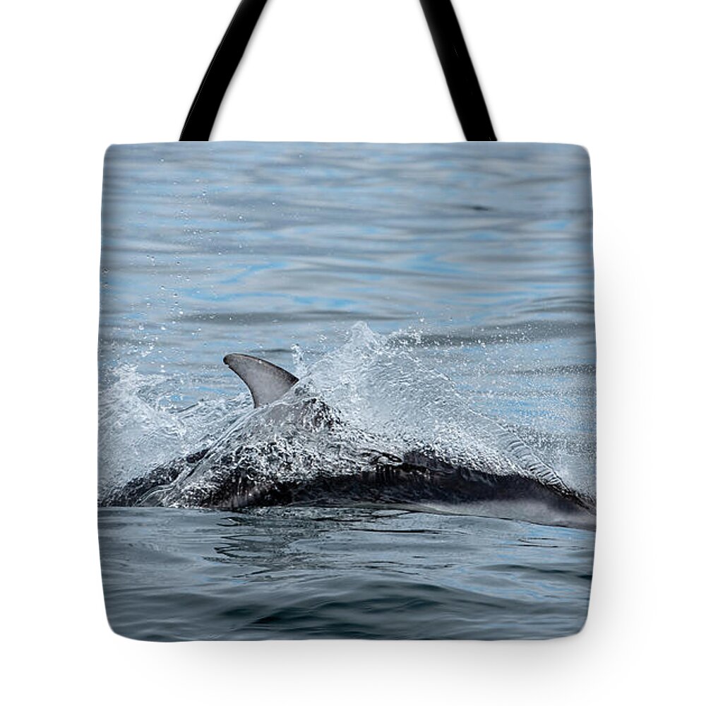 White Tote Bag featuring the photograph Dolphin by Canadart -