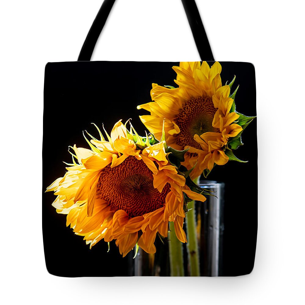 Sunflower Tote Bag featuring the photograph Double the Joy by Maggie Terlecki