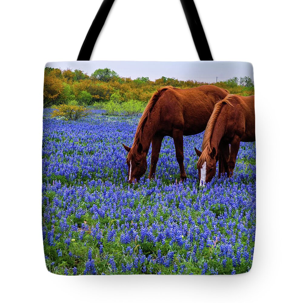Austin Tote Bag featuring the photograph Double Vision 2 by Johnny Boyd