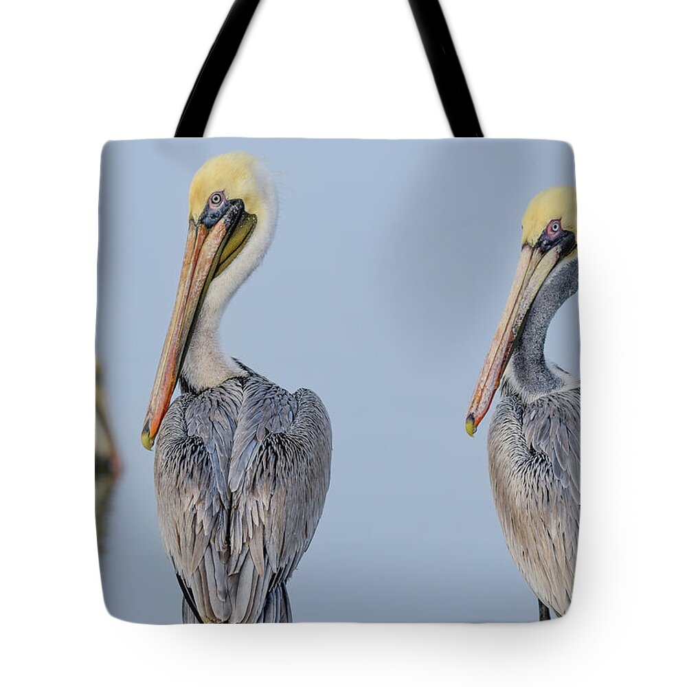 Brown Tote Bag featuring the photograph Double Your Fun by Christopher Rice