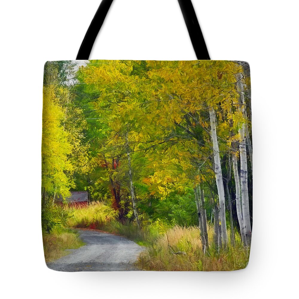 Country Road Tote Bag featuring the photograph Birch Lane by Carol Randall