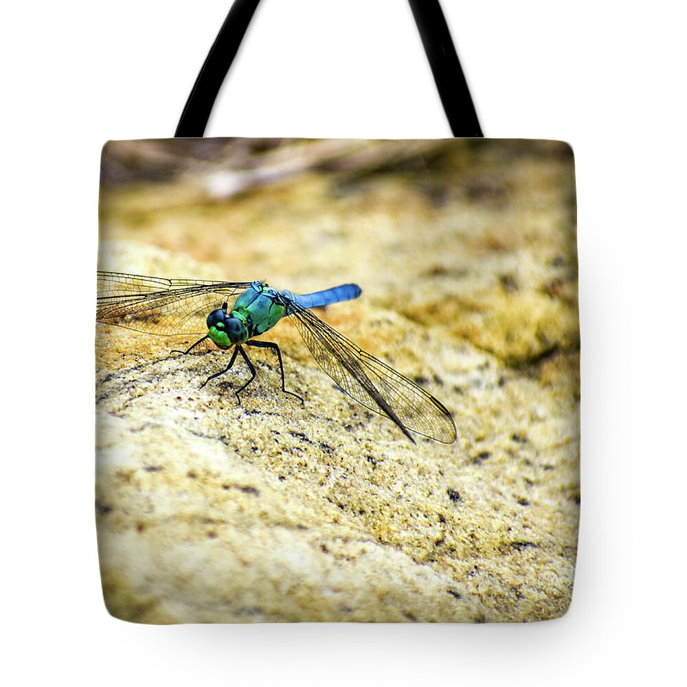 Dragon Fly Tote Bag featuring the photograph Dragon Fly by Michelle Wittensoldner