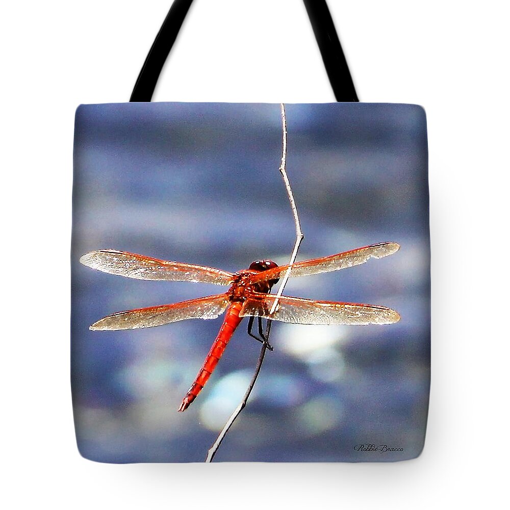 Dragofly Tote Bag featuring the photograph Dragon Fly by Philip And Robbie Bracco