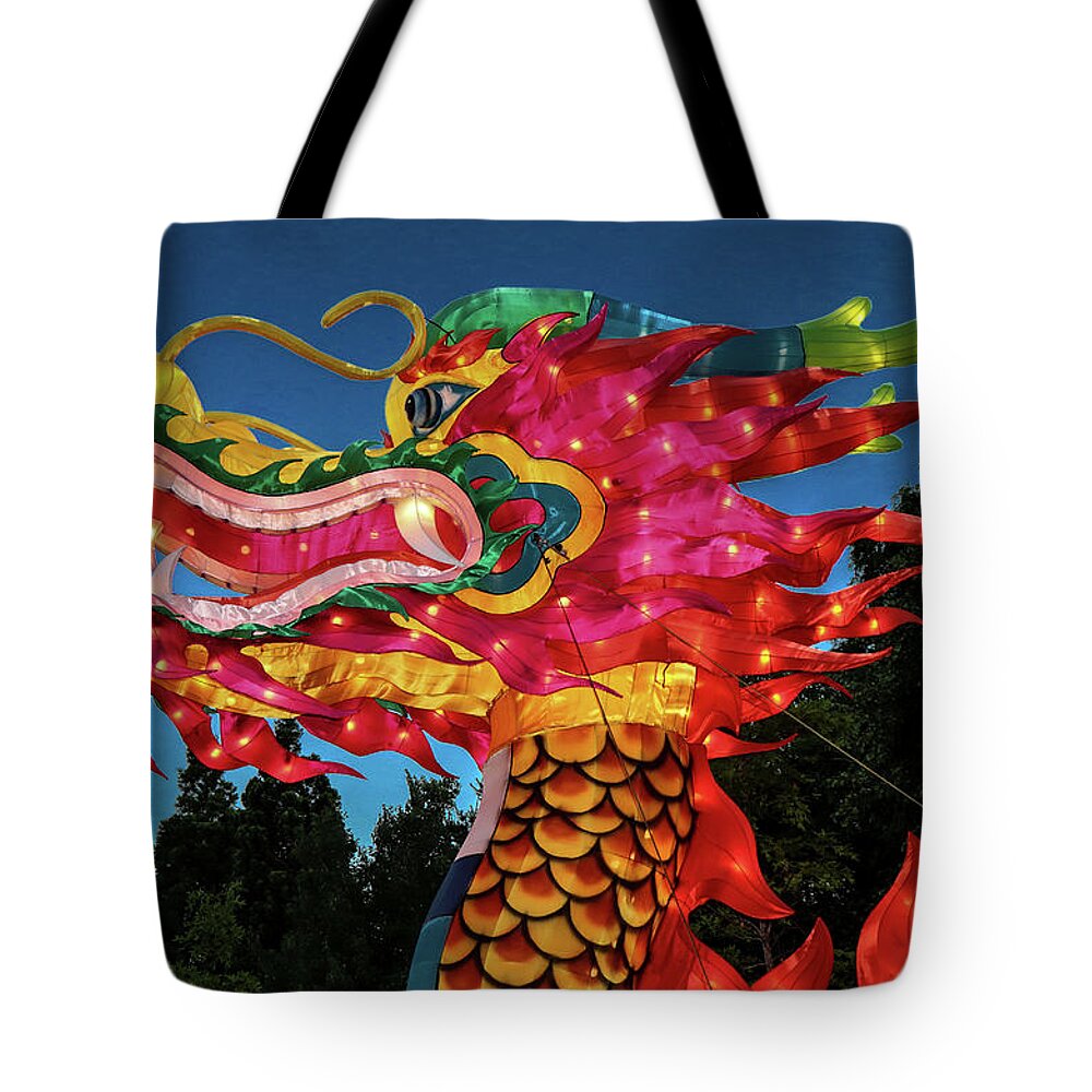 Dragon Tote Bag featuring the photograph Dragon by Ron Roberts