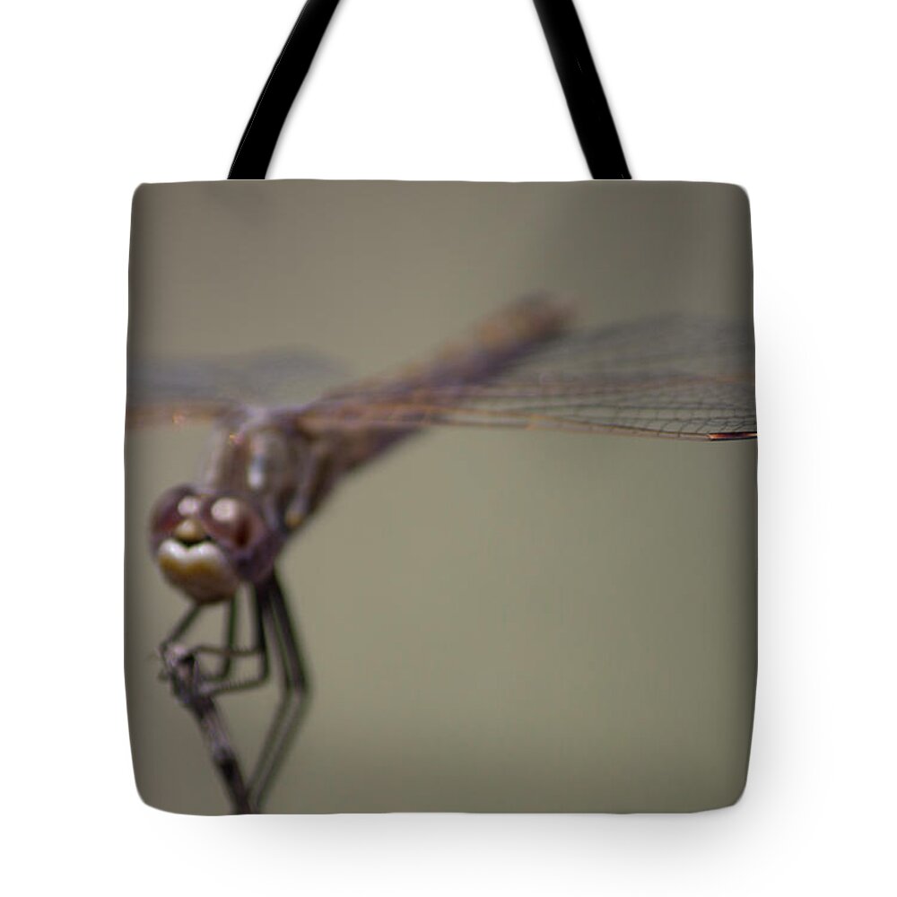 Insect Tote Bag featuring the photograph Dragonfly #1 by Jonathan Thompson