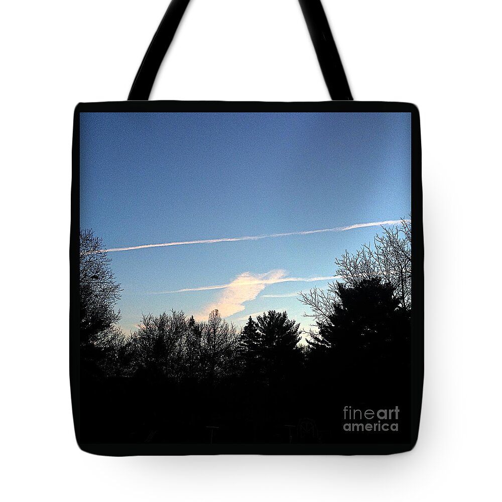 Nature Tote Bag featuring the photograph Draw the Line by Frank J Casella