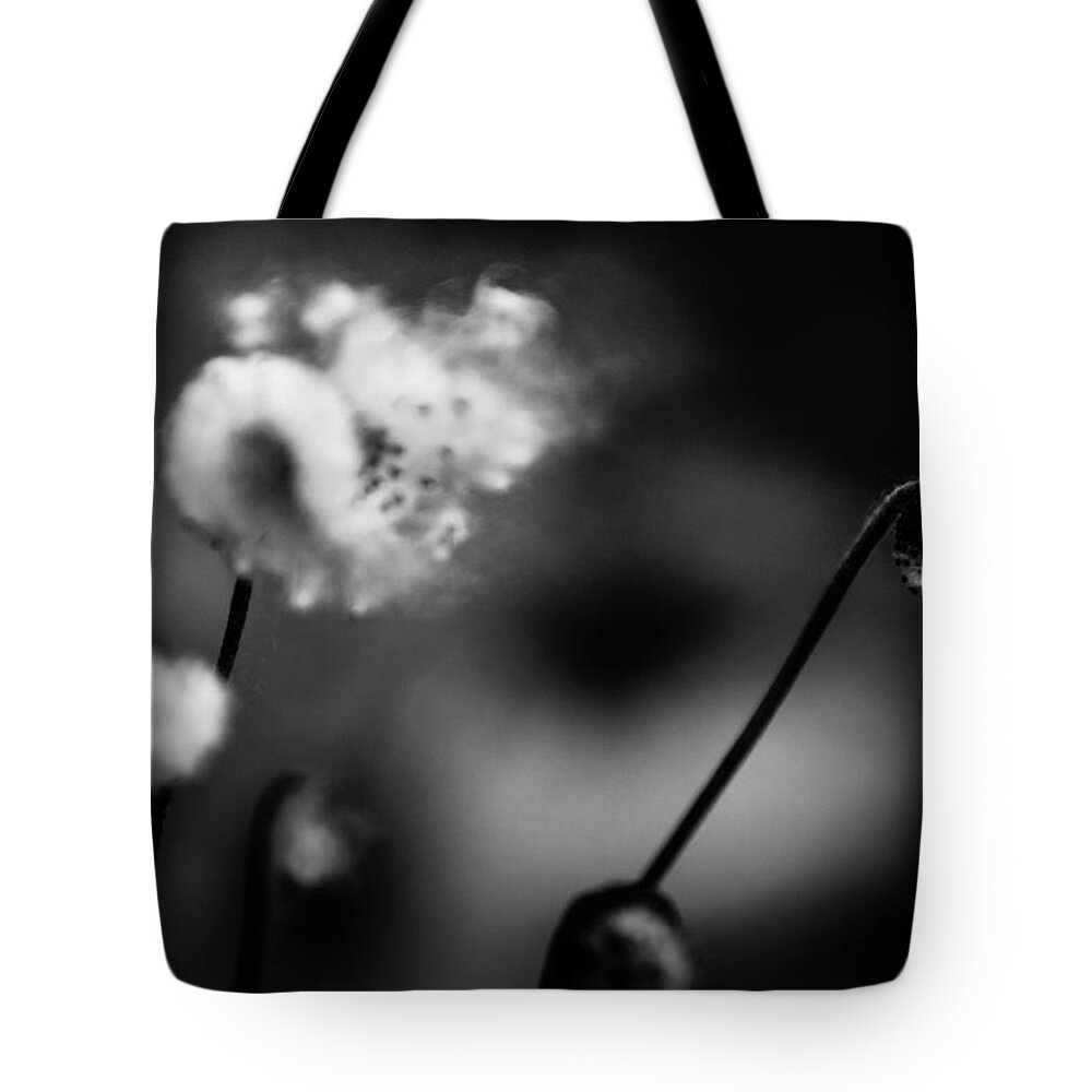 Tree Tote Bag featuring the photograph Dream of Autumn by Christopher Maxum