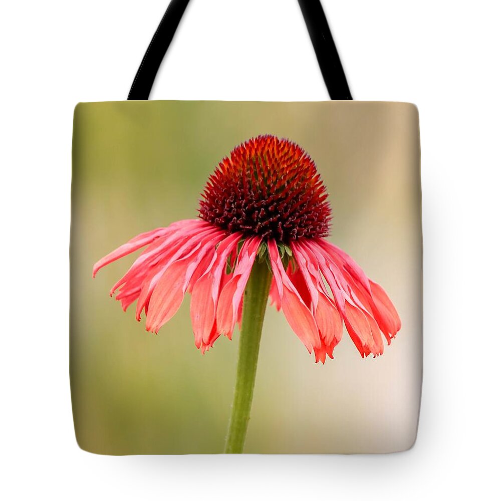 Close-up Tote Bag featuring the photograph Dreaming by Susan Rydberg