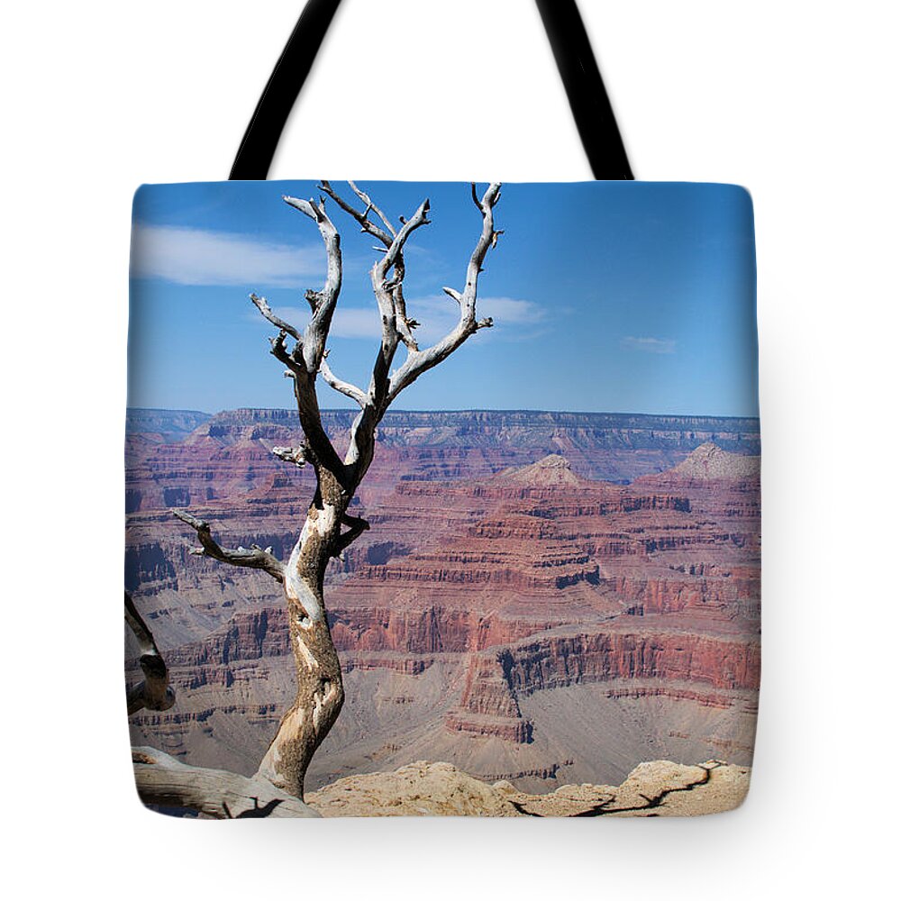 Shadow Tote Bag featuring the photograph Dried Tree Trunk by Behindthelens