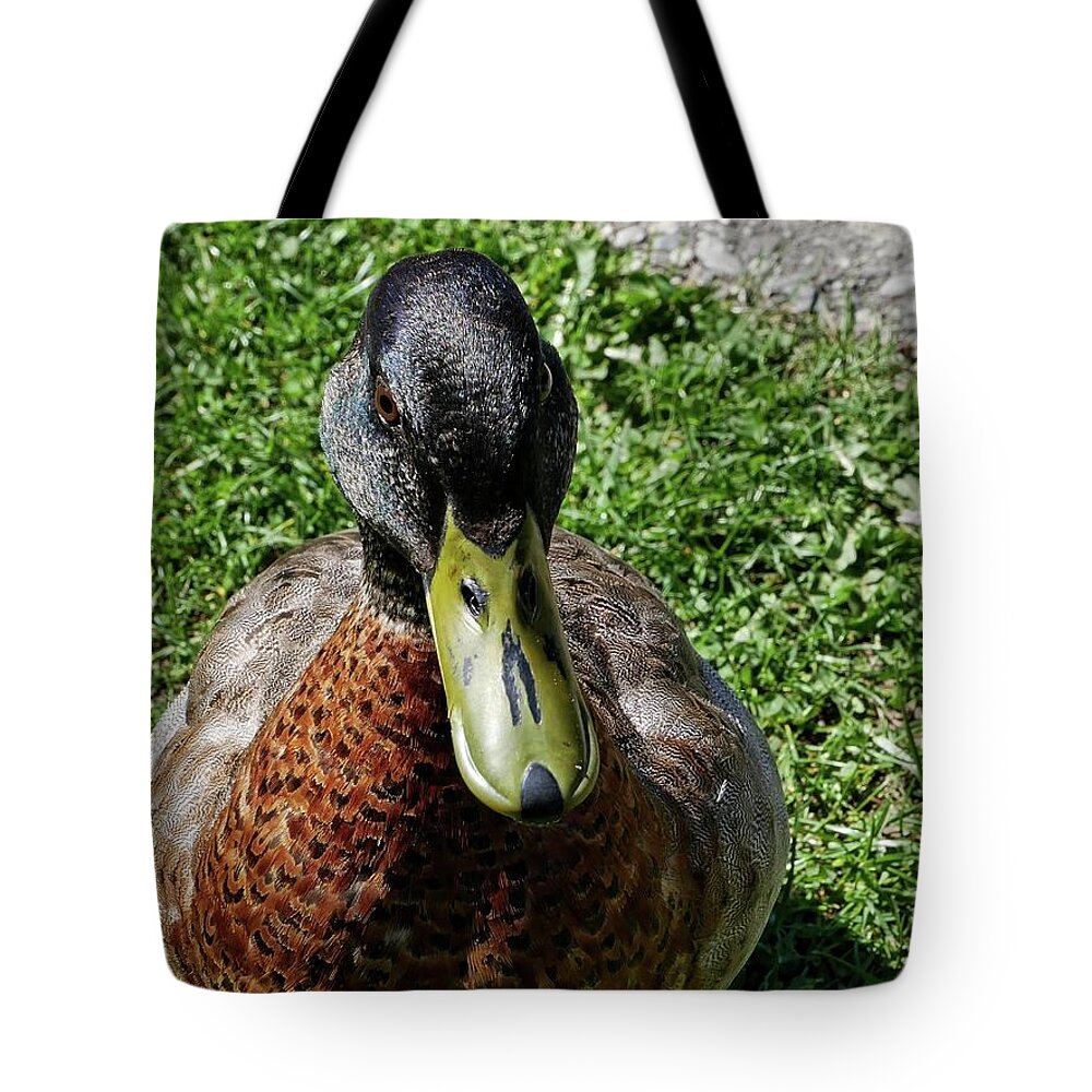 Duck Tote Bag featuring the photograph Duck closeup by Martin Smith
