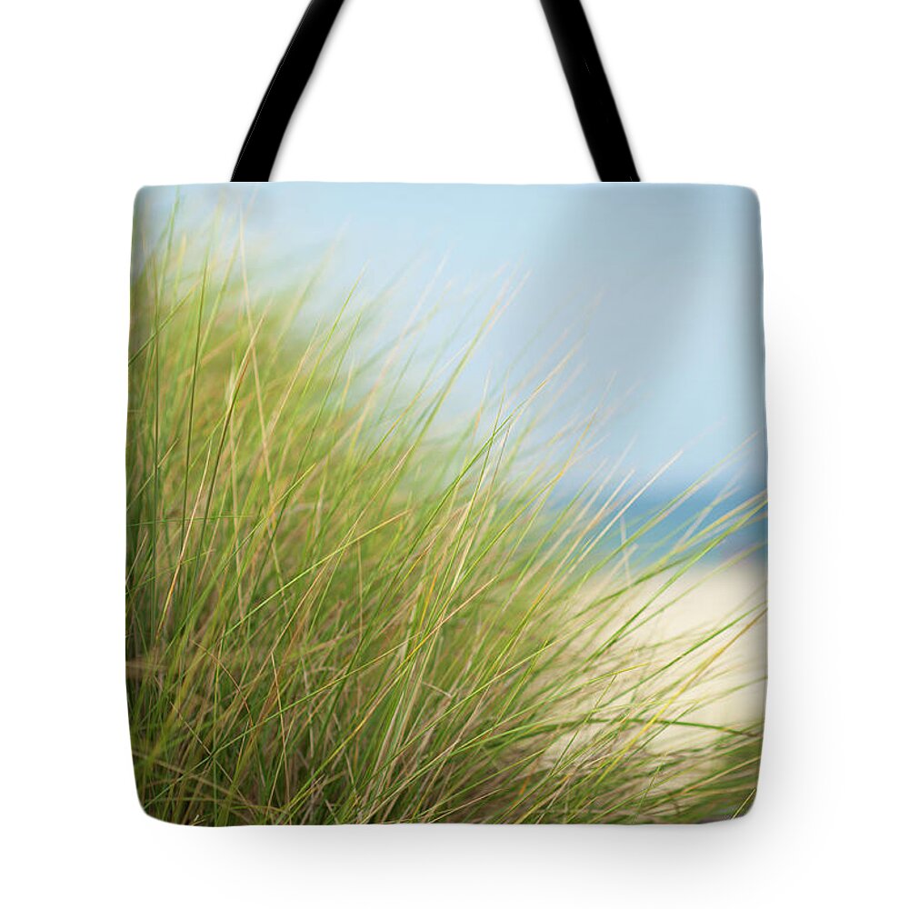 Grass Family Tote Bag featuring the photograph Dune Gras On The Beach by Ppampicture