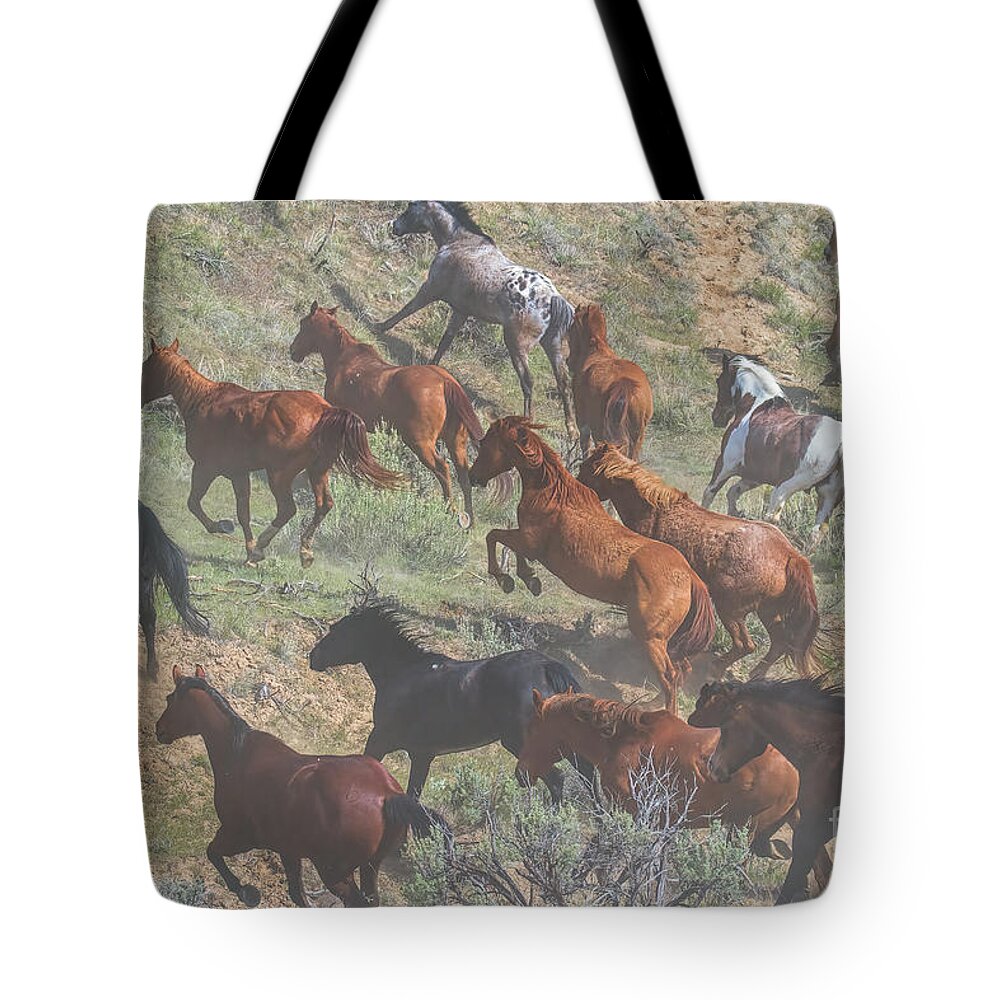 Running Horses Tote Bag featuring the photograph Dust in the Wind by Jim Garrison