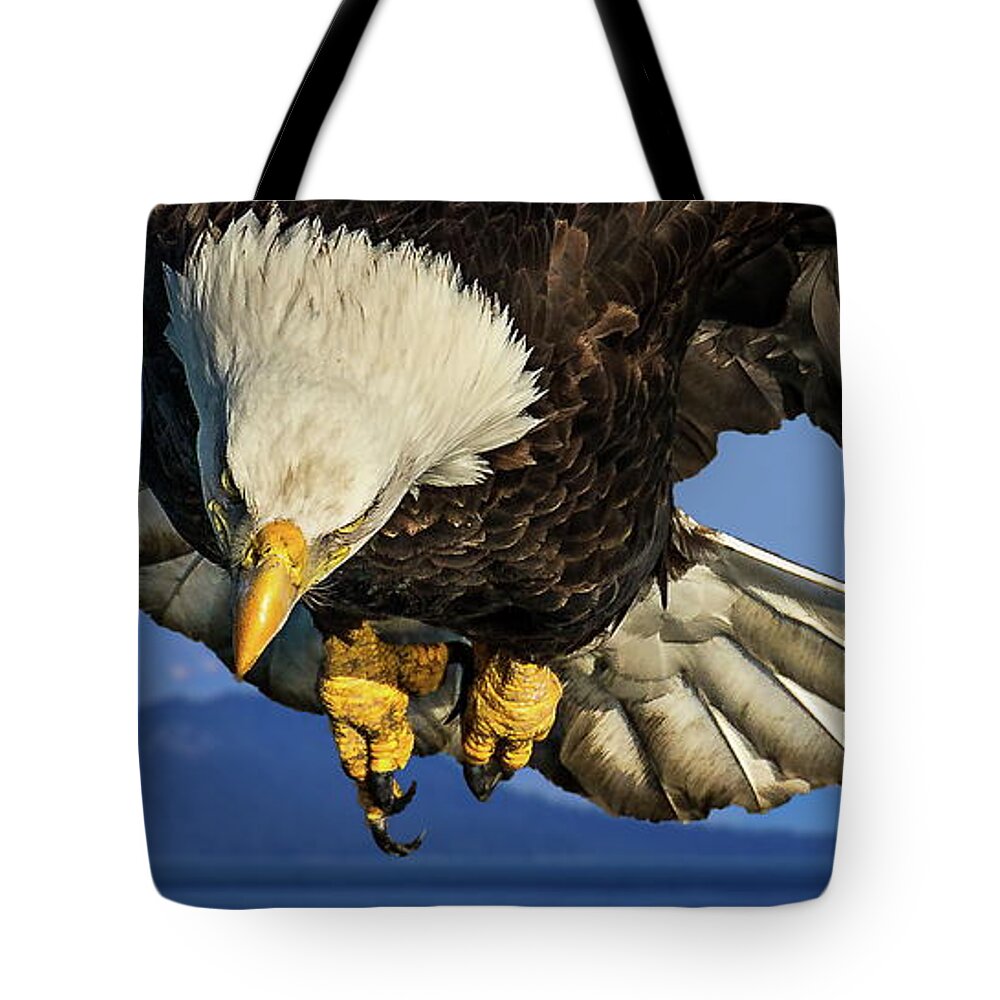 Eagle Tote Bag featuring the photograph Eagle Fishing in Glacier Bay Alaska by Russ Harris