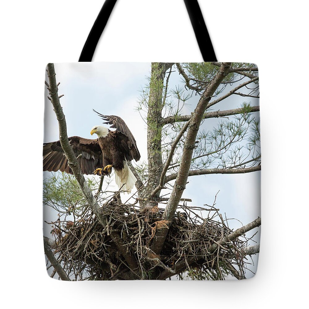 Wildlife Tote Bag featuring the photograph Eagle Landing by Doug McPherson